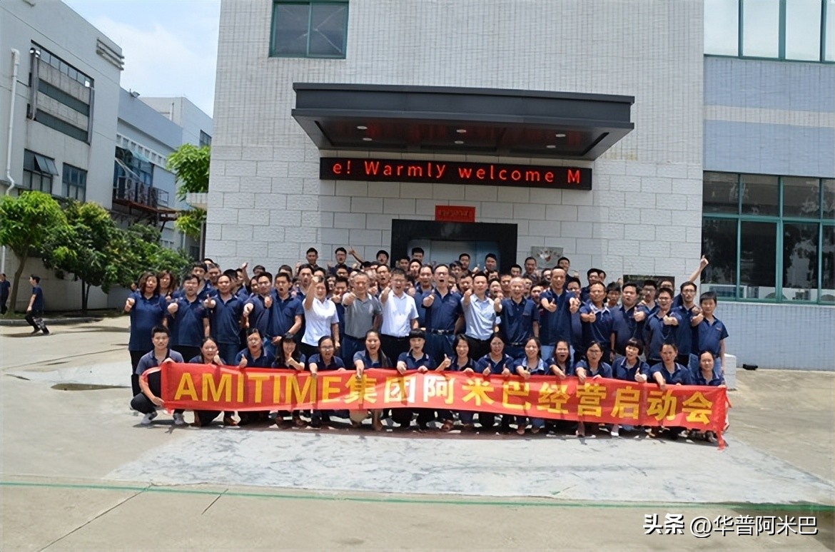 阿米巴经营业绩分析报告案例,阿米巴经营案例解析