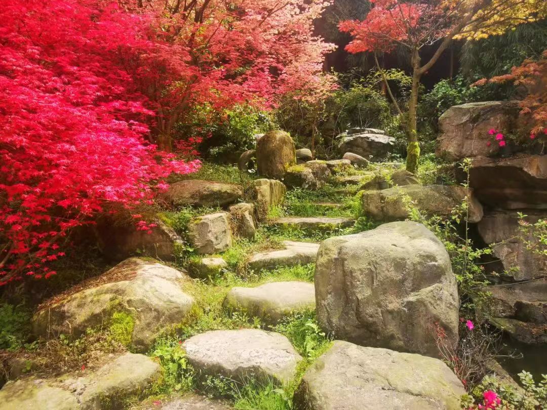 红枫岭有哪些景点,川西红枫岭旅游景点