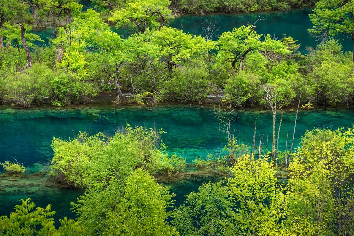 四川九寨沟游玩攻略自由行方案,四川九寨沟玩4天旅游攻略