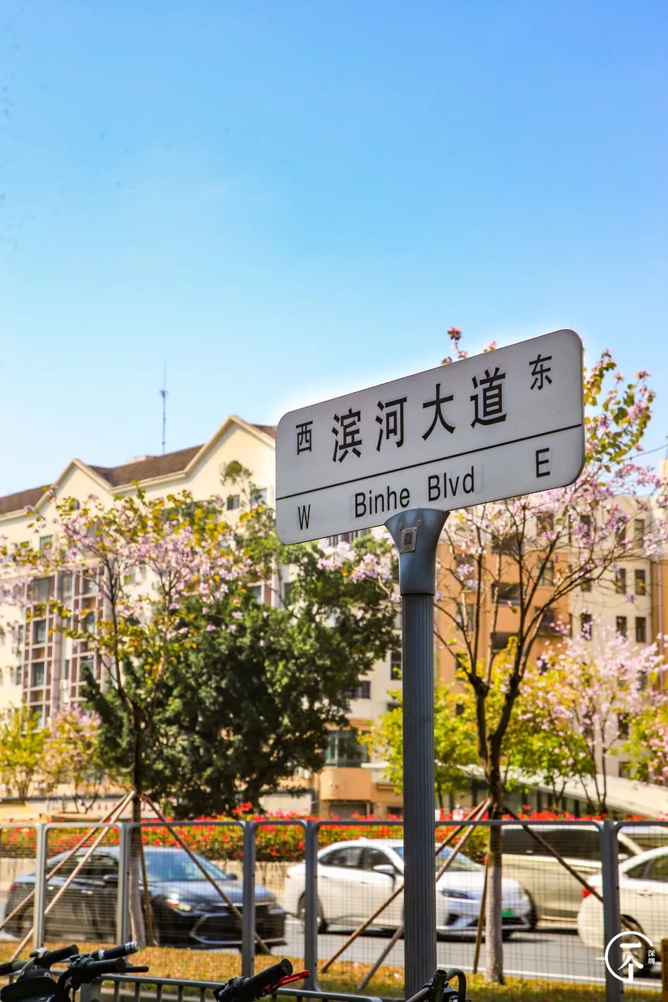 深圳有个什么富裕村,深圳有个村很出名