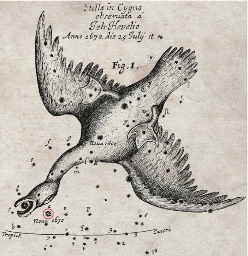 为什么金牛座遇到天蝎座会要命,金牛座好色贪财