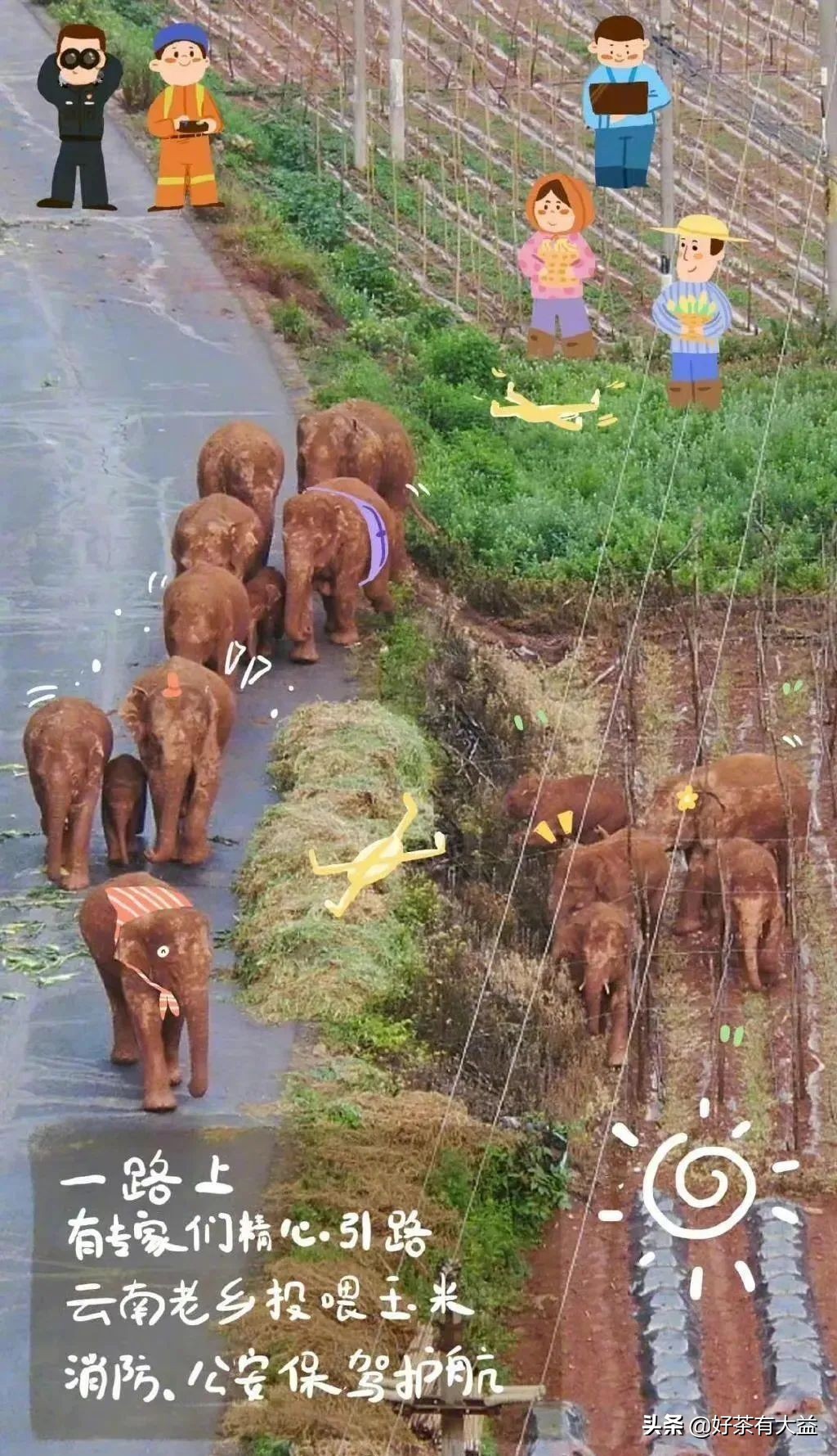 茶语春秋中国茶文化讲了什么,茶话春秋