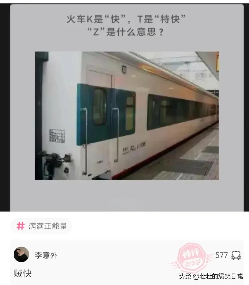 狮子魔性的笑声笑死人,狮子搞笑片