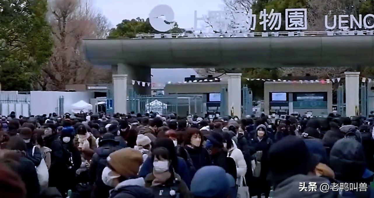 熊猫外交带来的经济效益,熊猫外交新闻稿