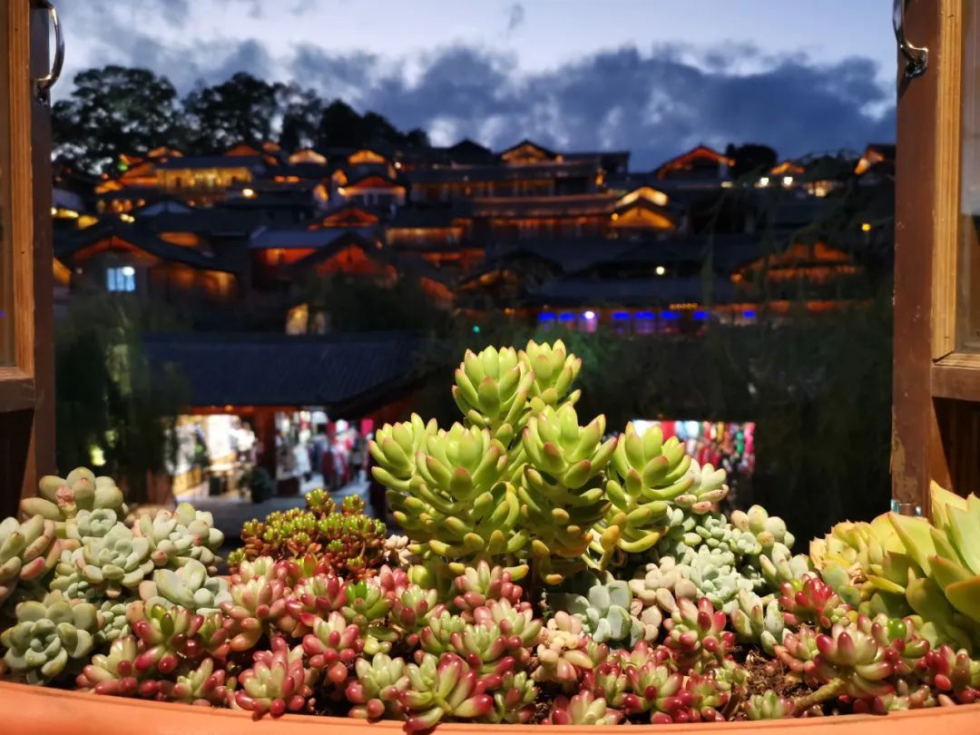 彩云之南2019丽江纪录片,彩云之南丽江香格里拉