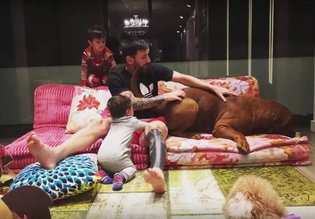 梅西传射破纪录,梅西传射建功完整视频