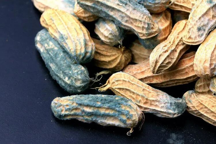 四种蔬菜被卫生组织拉入致癌名单,这三种蔬菜已被列入致癌名单别吃