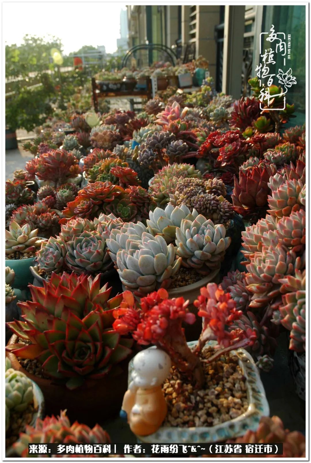 回味童年无忧无虑的快乐时光,童年最快乐的时光