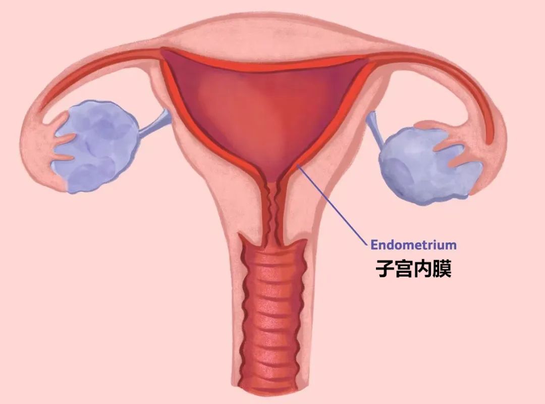 来大姨妈时里面有“肉块”，是不是生病了？