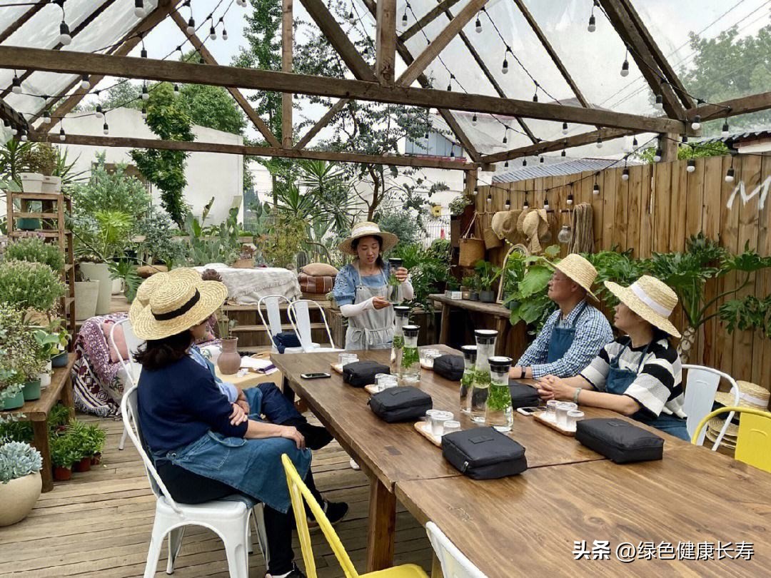 园艺疗法的主要对象,园艺治疗师前景