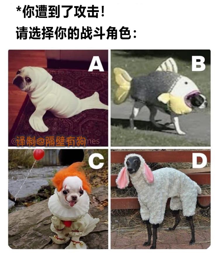 看完恐怖片不敢去最后一间厕所,看完恐怖片转移阵地