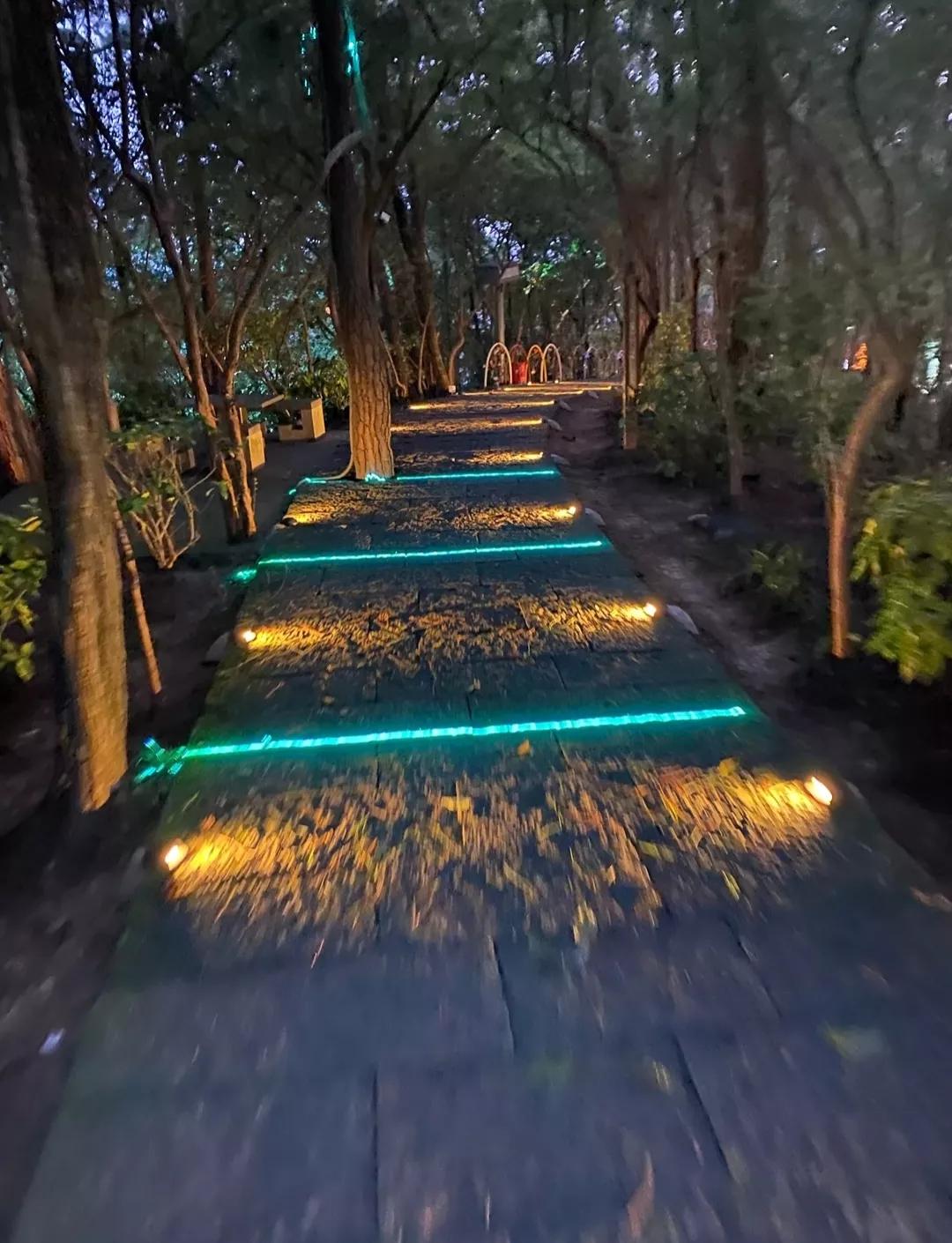 浙江最值得去的十大景区,浙江玉环十大景区排名