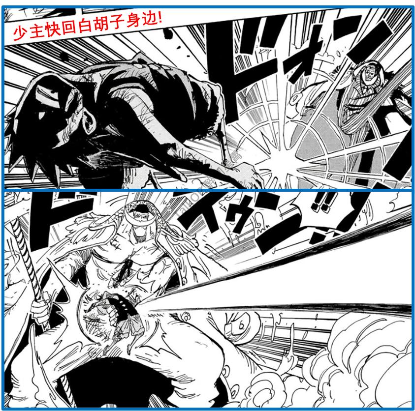 「流星电台」海贼王10641065分析-高质量解读