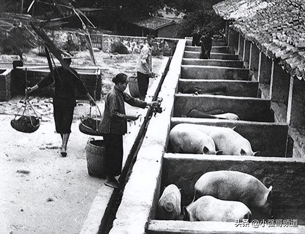 黄元申的成名经历,中国第一万元户黄新文