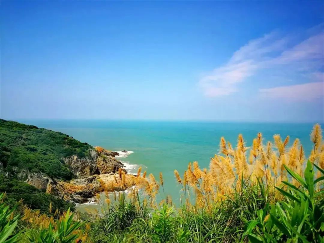 上海值得去的海岛,这7个上海周边的小众无人海岛