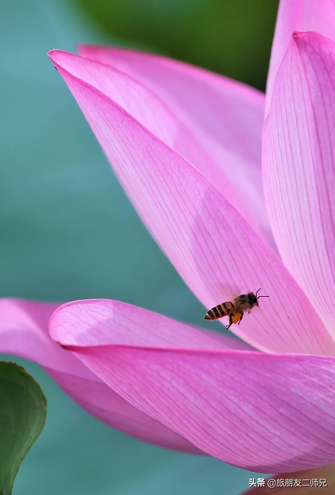 花都红山村自由行攻略,广州花都公园旅游攻略