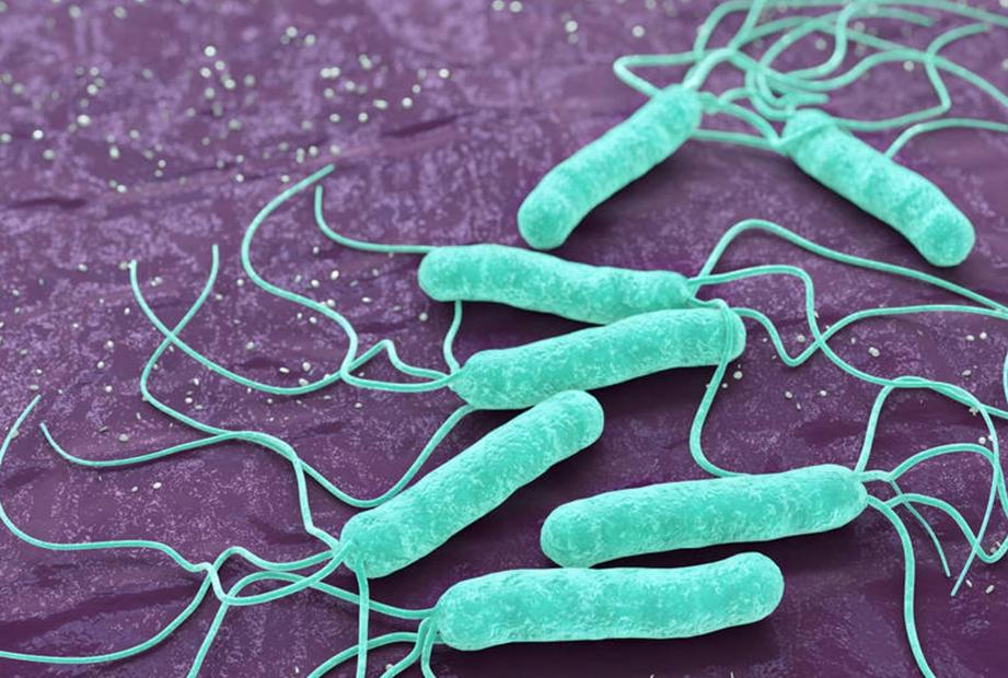 甲硝唑误吃了有什么影响,甲硝唑再好用也要警惕4种副作用