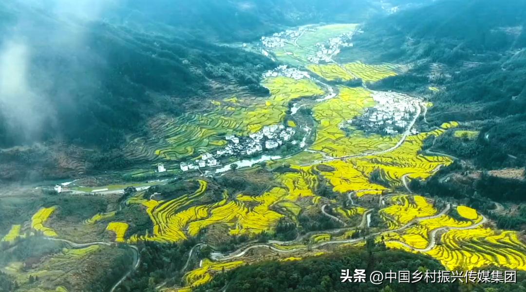 政府扶持乡村振兴的项目有哪些,2024乡村振兴政府补贴重点项目