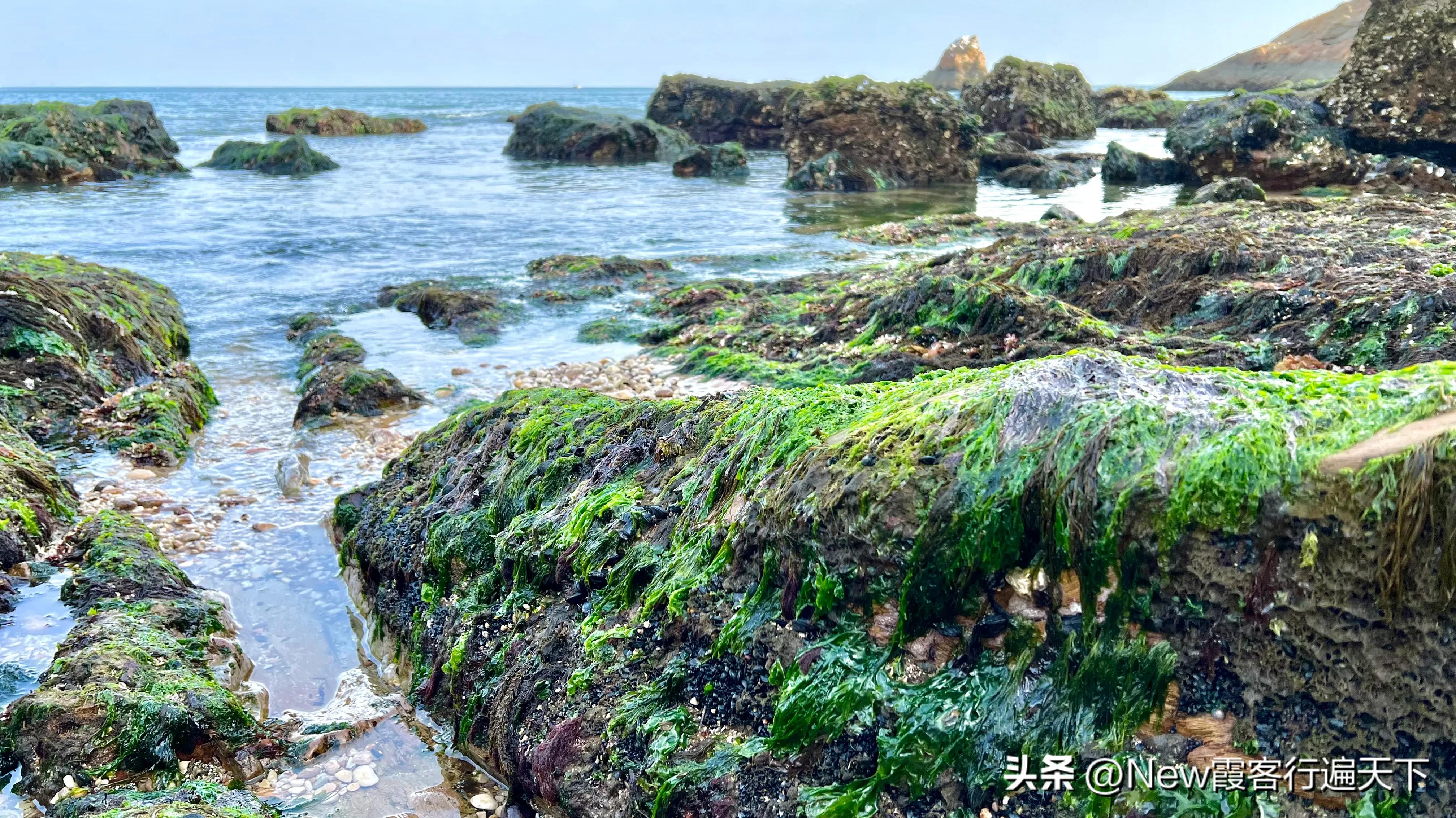 大连滨海路木栈道旅游攻略,周末徒步徜徉大连山海美景