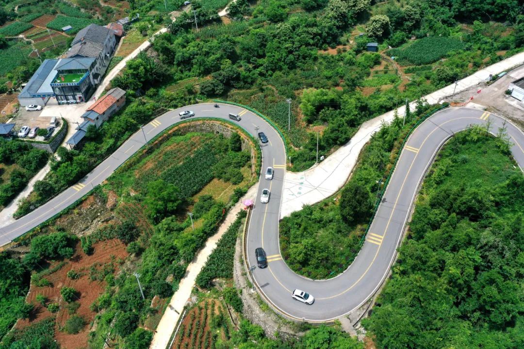 昔日采石场“长”出花木城