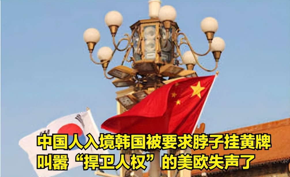 中国人入境脖子挂黄牌、军方押小黑屋，自费6300！中国的反击来了