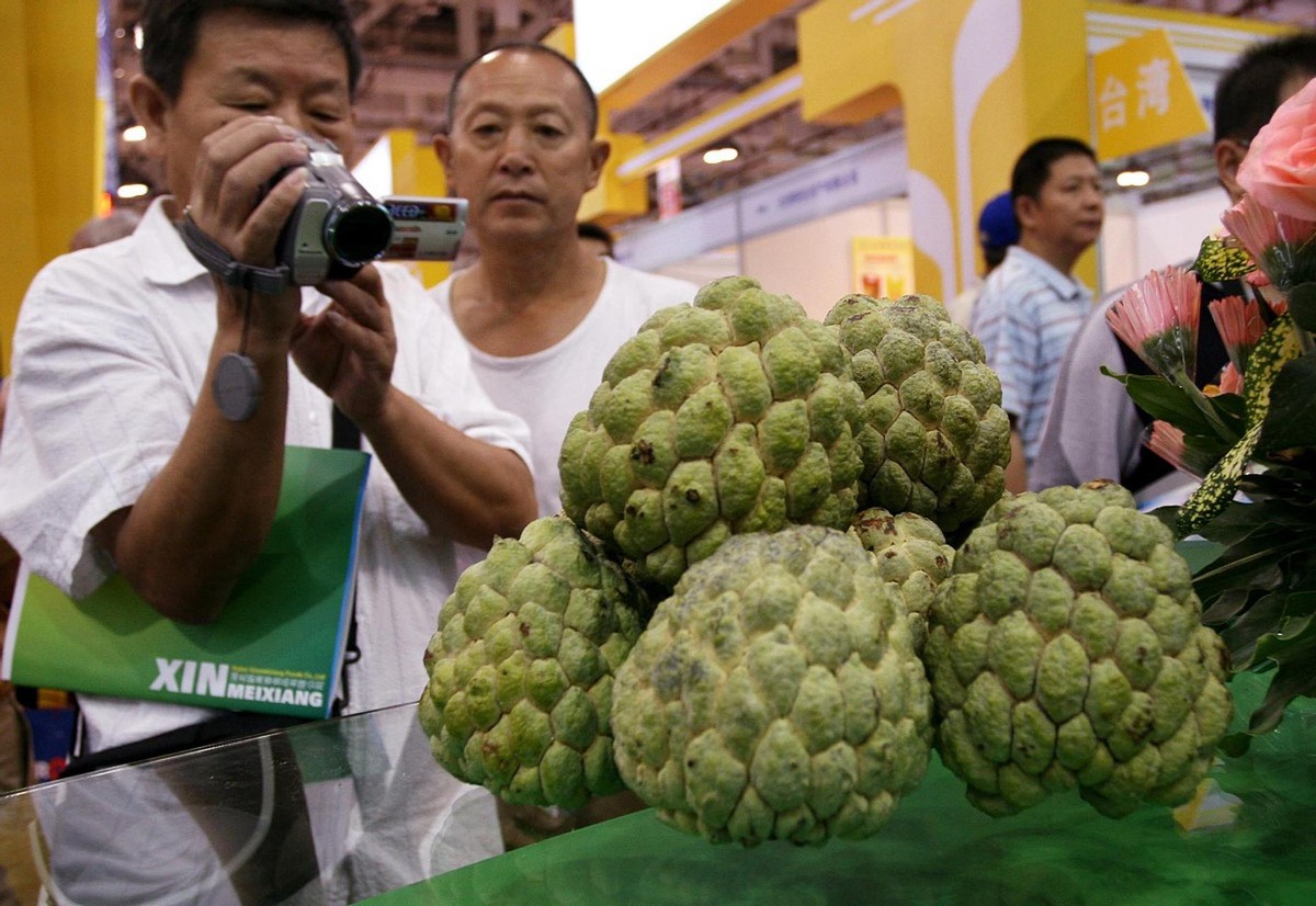 台湾水果滞销积压视频,台湾水果滞销东南亚