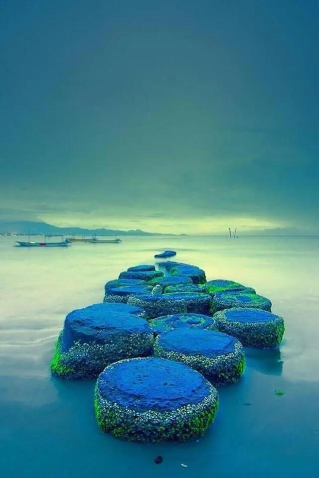 唯美手机壁纸高级感,唯美手机壁纸高清全面屏