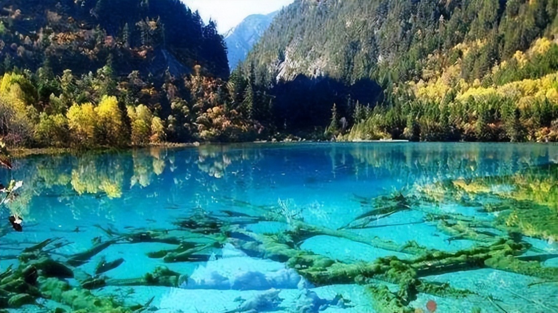 四川成都旅游导游服务,四川成都五日游自由行攻略