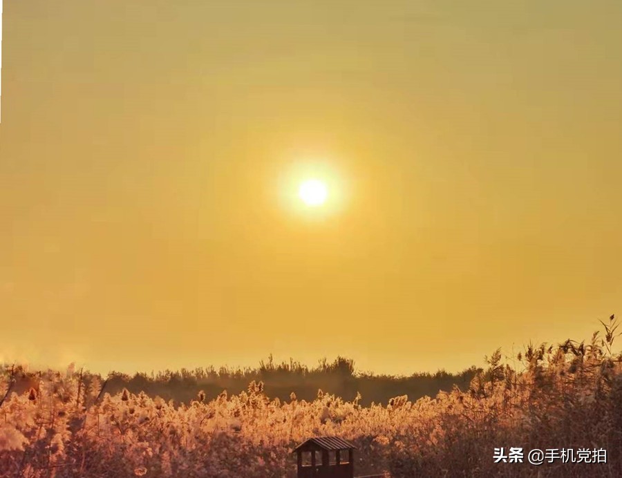 手机拍美景怎么拍,手机拍照片怎么拍风景好看