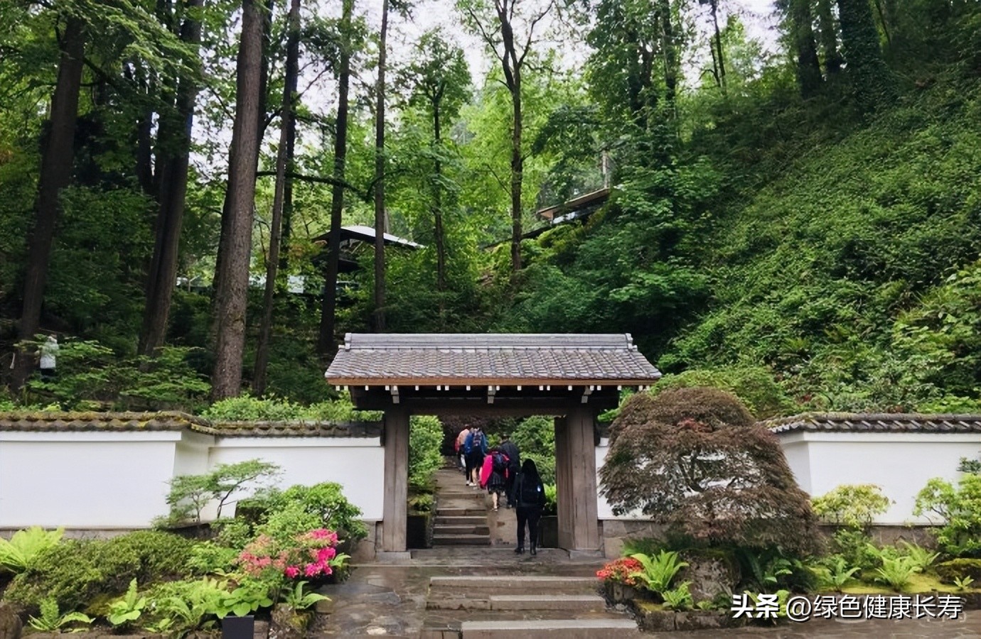 波特兰日本花园游玩,世界花园打卡