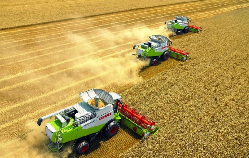 回老家创业做这6种生意最赚钱,农村能做什么生意比较好创业