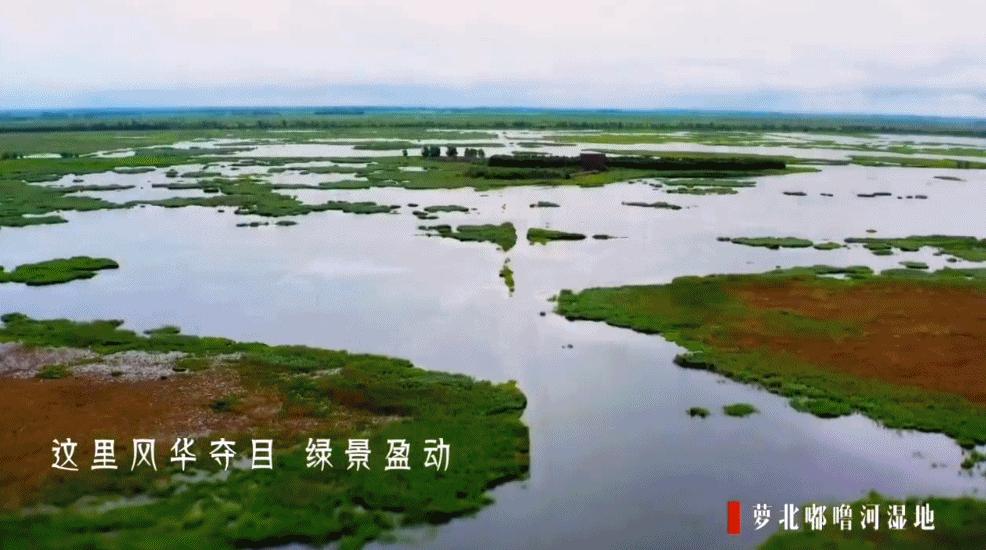 50块钱逛遍大连,50块钱逛沈阳