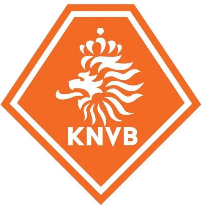 足球世界杯荷兰无冕之王,世界杯无冕之王荷兰