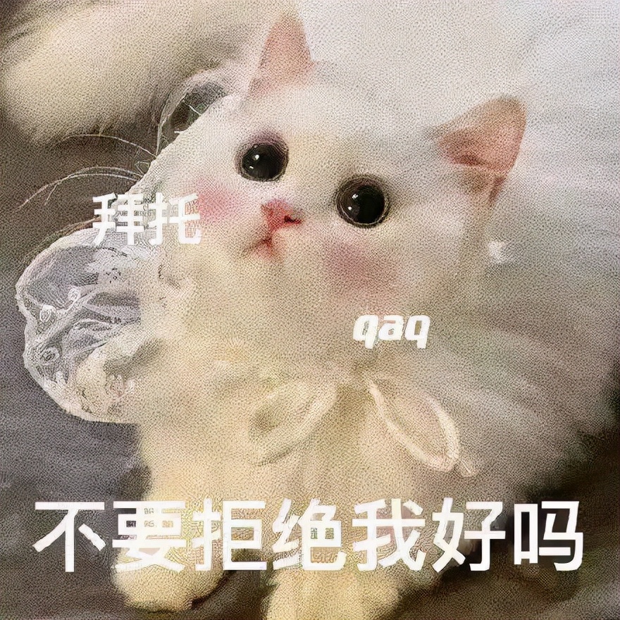 猫咪开车姿势多种多样，绝对是你想象不到的疯狂