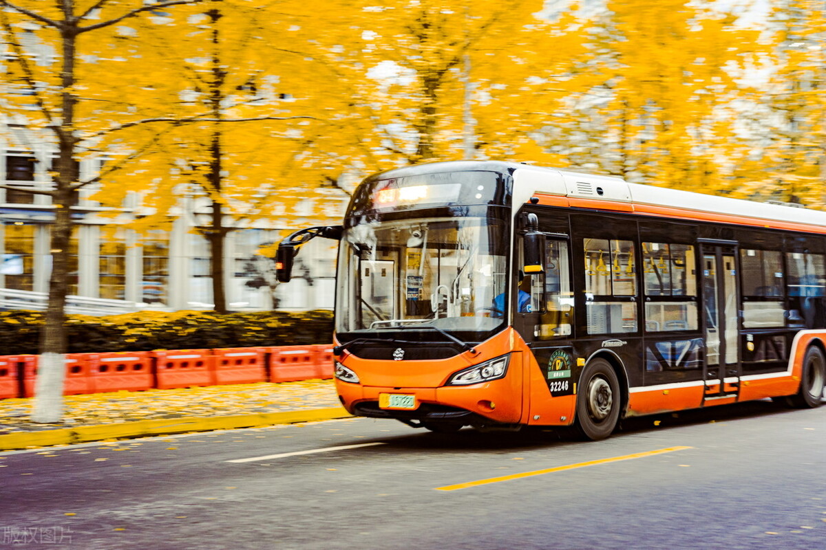 小学英语词汇分类,小学英语词汇归类复习