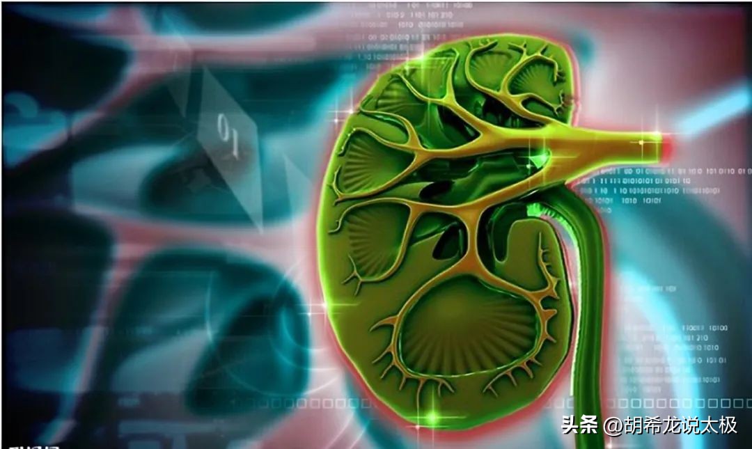 固本培元，补肾养肺，做自己生命健康的掌舵人