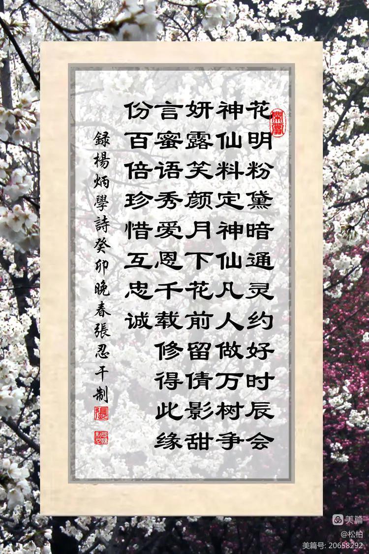 百花园（十六）樱蕾暗香溢