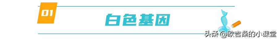 白斑基因可控吗,白斑基因优势