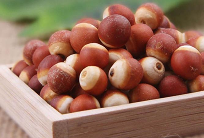 芡实为何说是水中人参,水中人参芡实是什么东西