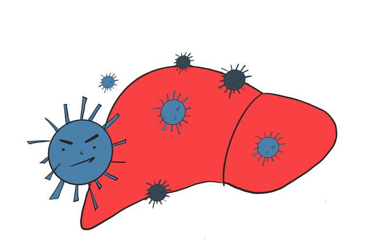 乙肝患者没得治疗,乙肝有些人不治疗10几年没事