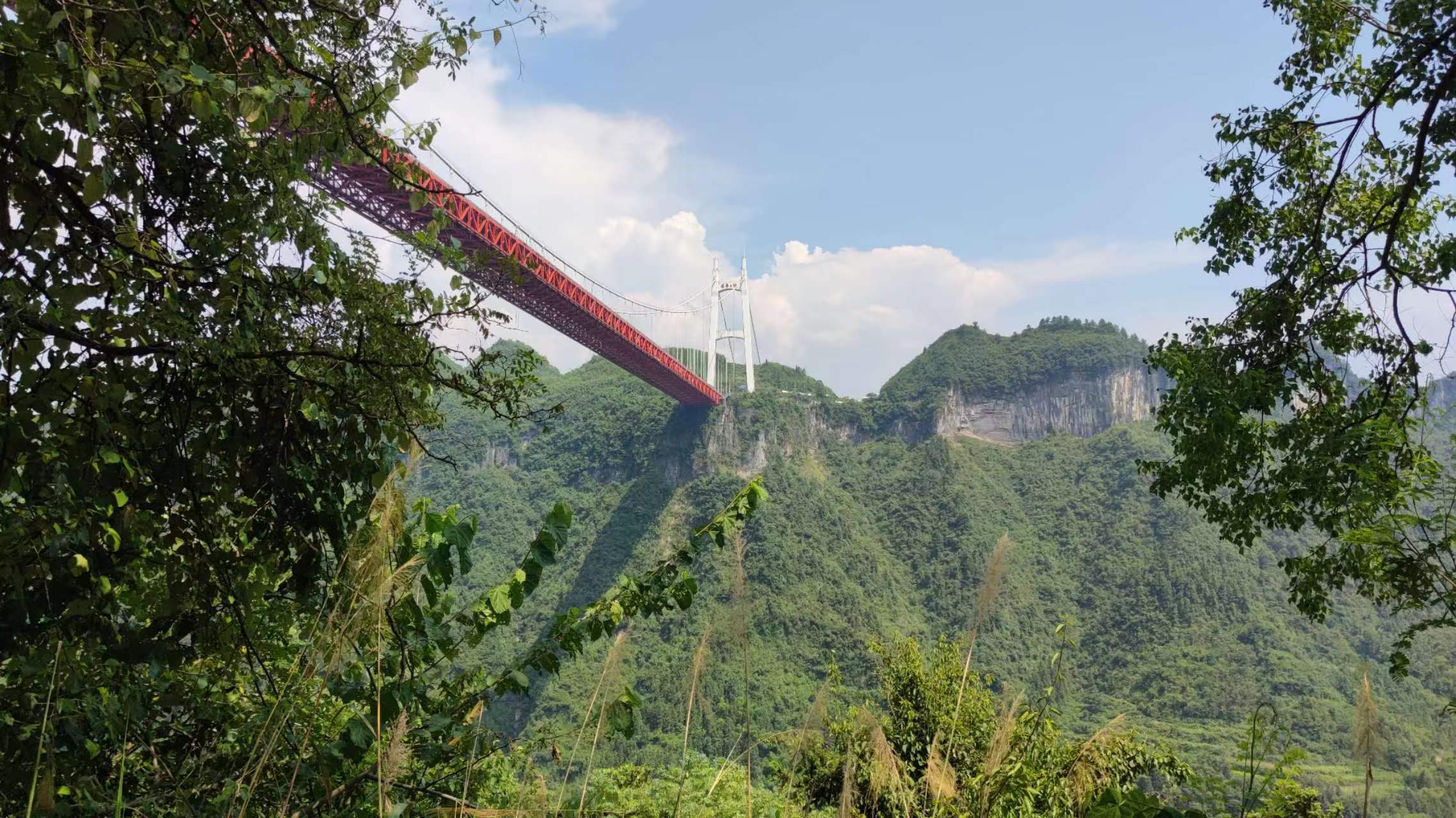 商业化不可持续,商业化少了文化氛围