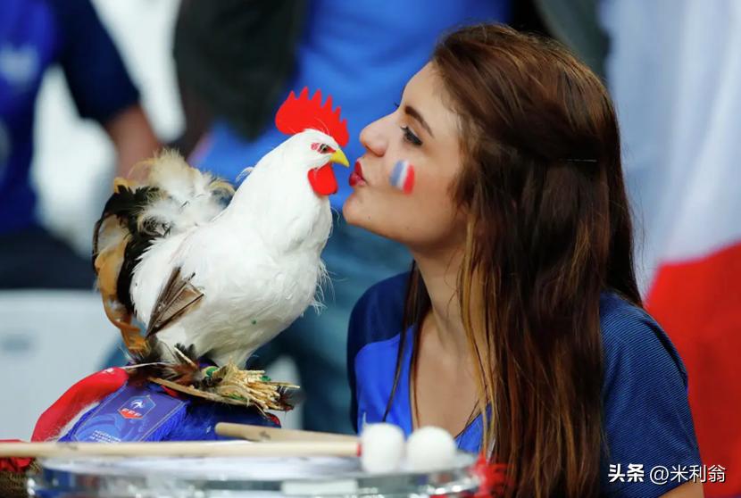 高卢鸡为什么是法国的象征,为什么称法国为高卢雄鸡