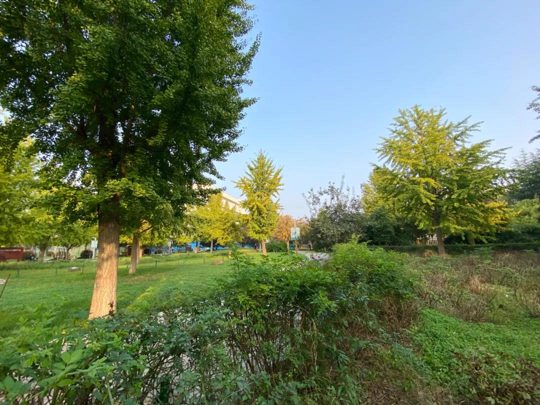 郑州遛娃免费景点大全,郑州市区免费遛娃好去处