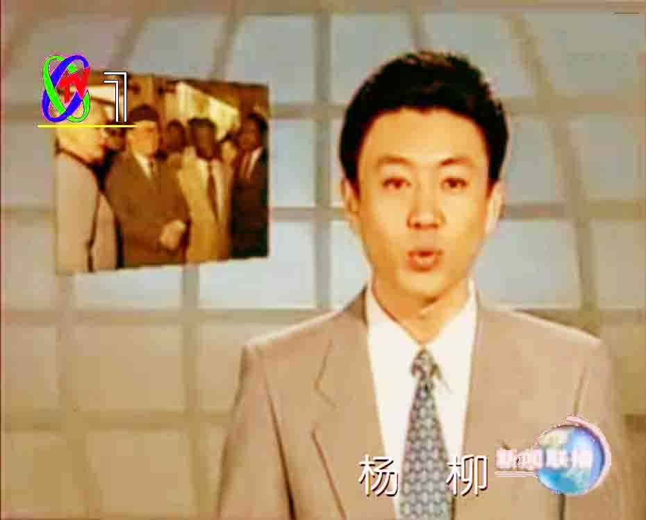 新闻联播前主播杨柳,新闻联播播音员杨柳现在状况