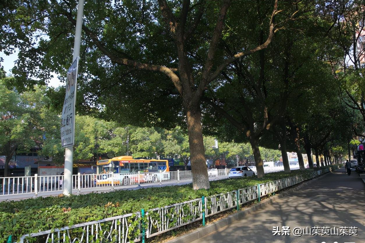 芜湖旅游攻略教堂,芜湖鸠兹风景区