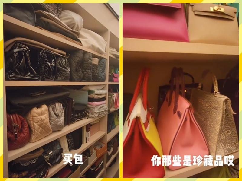 向太评价袁咏仪,向太给袁咏仪爱马仕