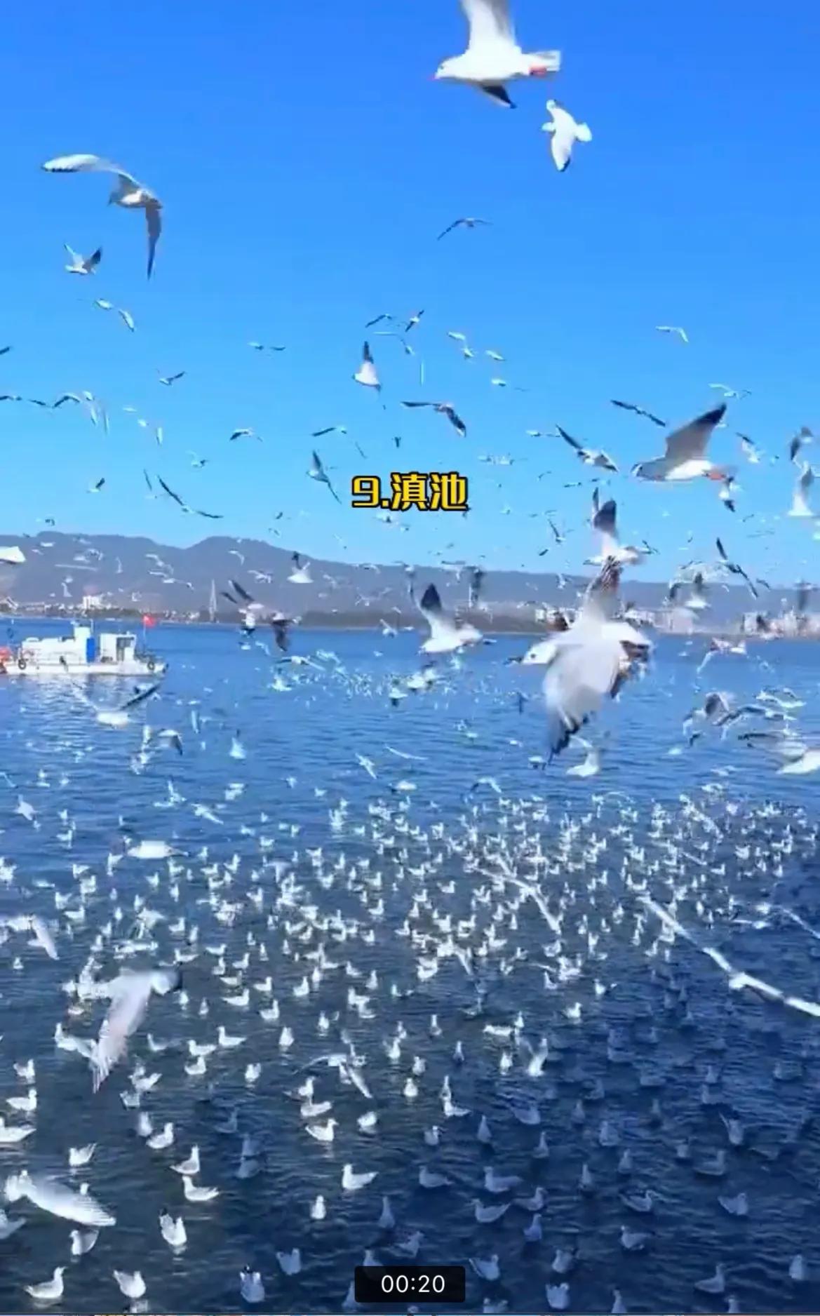 云南有哪些好看好玩的地方,云南冬季好玩的地方推荐