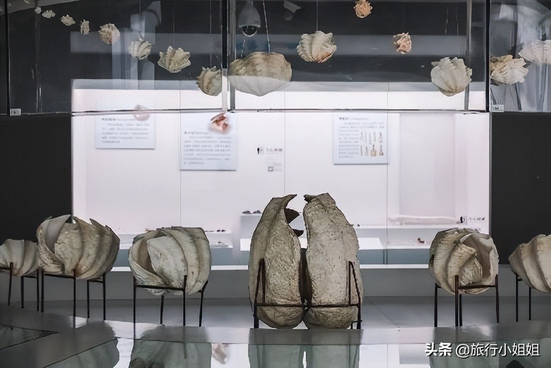 夏日海边浪漫迷人,滨城风光秀丽浪漫气息爆表