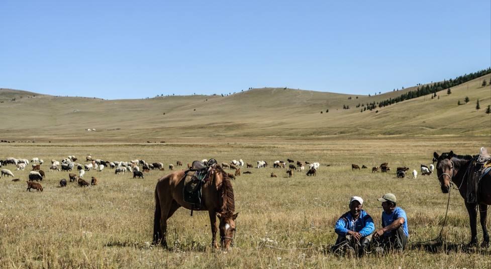 蒙古国矿产那么丰富，为何我国不采购，却舍近求远买澳大利亚的？