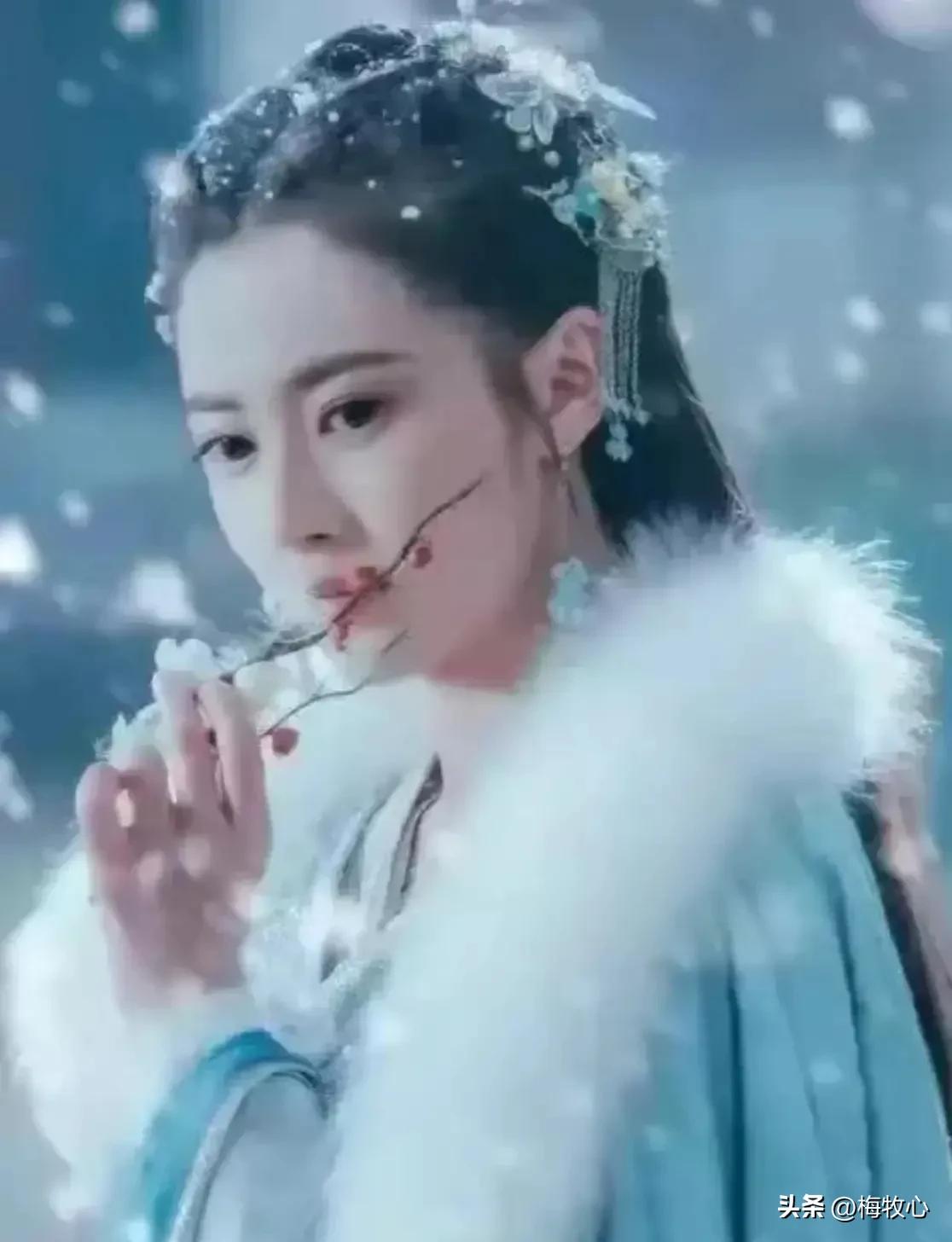 紫石金麟|咏梅七律三十韵②（二叠韵合集）